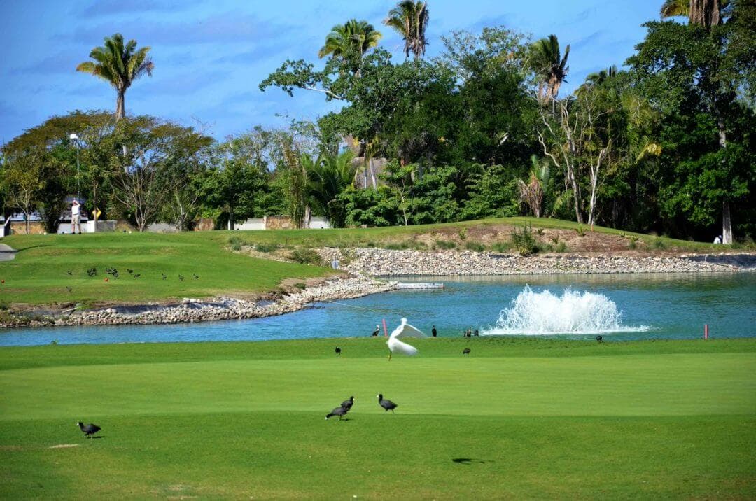 Litibú (Higuera) Golf Course Gallery